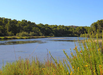 fishingtripmenorca.co.uk boat tours to Albufera des Grau Minorca