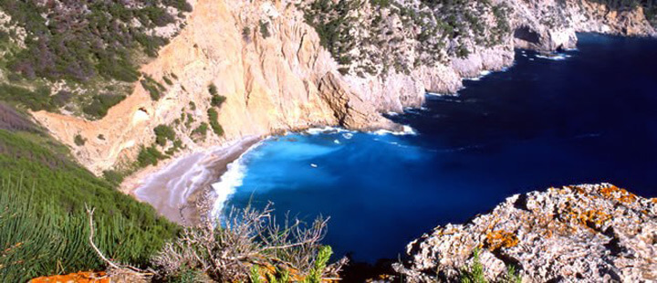 pescaturismomallorca.com excursiones en barco a Coll Baix Mallorca