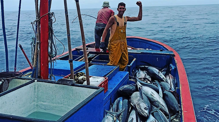 www.pescaturismocanarias.es Excuriosnes para la pesca del atún en la isla de la Palma