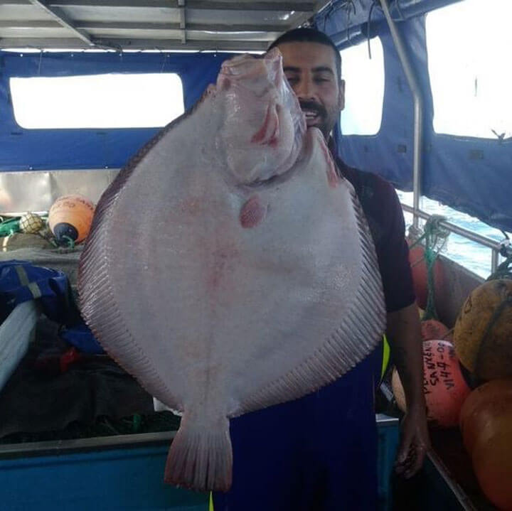 pescaturismogalicia.es excursiones de pesca en Sanxenxo Galicia