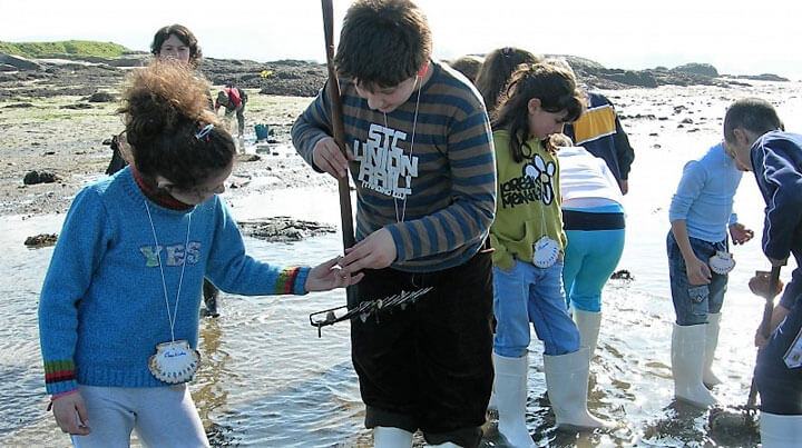 pescaturismospain.com excursiones de marisqueo en Cambados Galicia