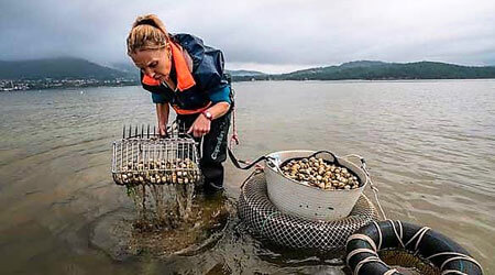 Excursiones de pesca turismo en Galicia con Pescaturismo Spain